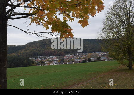 Autunno in Reimsbach nell'anno 2018 visto dalla direzione sud-ovest verso la città. Herbst in Reimsbach in dem Jahr 2018. Foto Stock