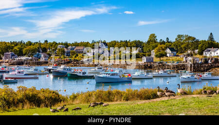 Piccolo borgo di pescatori e il porto di Corea sulla costa dell'Oceano Atlantico del Maine negli Stati Uniti Foto Stock