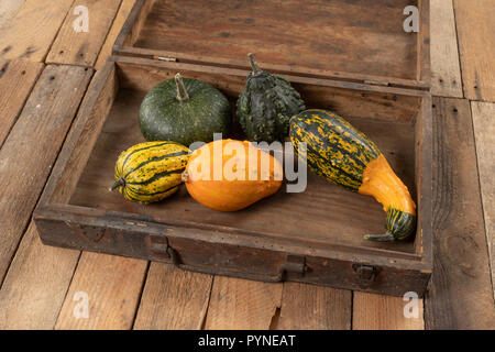 Zucca decorativa su una cucina bianca tabella. La frutta per la festa di Halloween per decorazioni. Autunno sfondo. Foto Stock