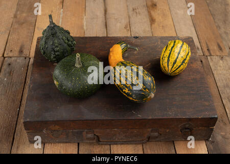 Zucca decorativa su una cucina bianca tabella. La frutta per la festa di Halloween per decorazioni. Autunno sfondo. Foto Stock