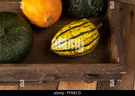 Zucca decorativa su una cucina bianca tabella. La frutta per la festa di Halloween per decorazioni. Autunno sfondo. Foto Stock