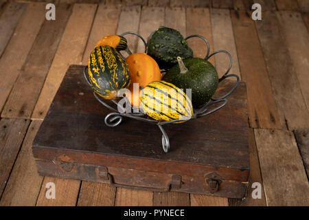 Zucca decorativa su una cucina bianca tabella. La frutta per la festa di Halloween per decorazioni. Autunno sfondo. Foto Stock