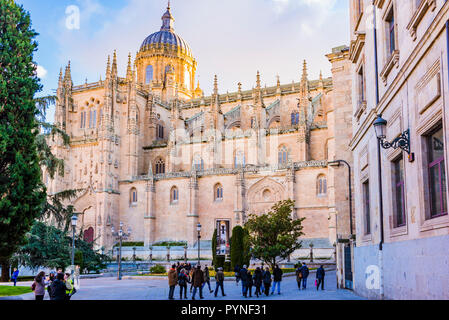 La facciata della Puerta de Ramos della nuova Cattedrale, dalla Plaza de Anaya. Salamanca, Castilla y Leon, Spagna, Europa Foto Stock