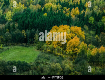 Autunno texture forestali - nelle montagne slovacche Foto Stock