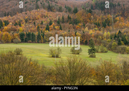 Autunno texture forestali - nelle montagne slovacche Foto Stock