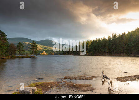 Loch un Eilein, Rothiemurchus Estate in Cairngorm National Park nelle Highlands Scozzesi. Preso in autunno come il sole sta per tramontare. Foto Stock