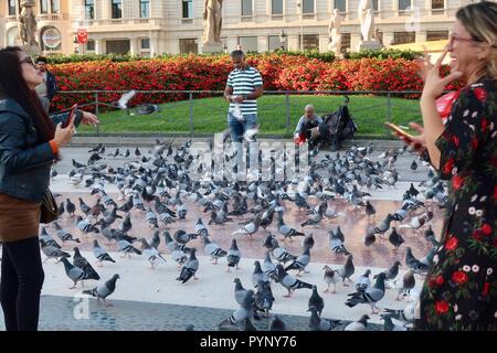 Pigeon frenesia a Place de Catalunya, Barcelona, Spagna. Ottobre 2018. Foto Stock