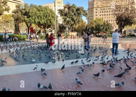 Pigeon frenesia a Place de Catalunya, Barcelona, Spagna. Ottobre 2018. Foto Stock