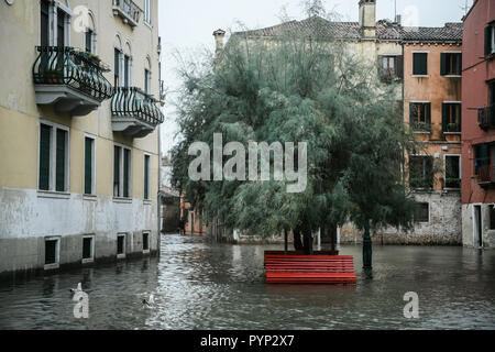 Venezia, Italia. 29 ottobre, 2018. Un r ed il banco e un albero sono sommersi dall'acqua durante un eccezionale Acqua Alta - Alta Marea inondazioni in Venezia, Italia il 29 ottobre 2018. Il 70% della città lagunare è stata inondata dalle acque rising 149 centimetri sopra il livello del mare. Credito: Piero Cruciatti/Alamy Live News Foto Stock