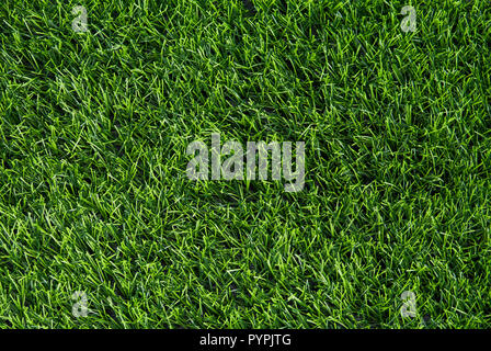 Artificiali erba verde texture di sfondo vista superiore. Foto Stock