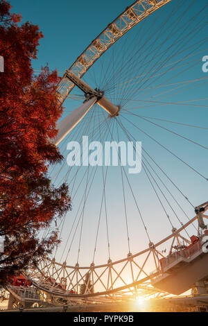 Autunno tramonto al London Eye Foto Stock