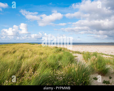 Dune e Spiaggia di Boschplaat su Terschelling island, uscita di marea e Borndiep Ameland isola con faro, il Wadden Sea, Paesi Bassi Foto Stock