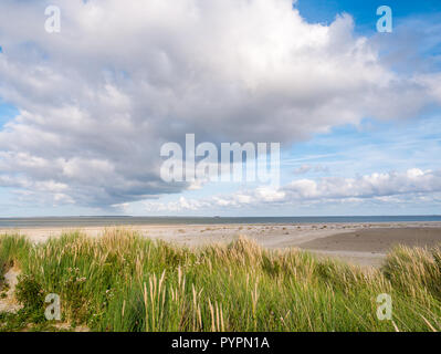 Vista da Boschplaat su Terschelling isola di maree di uscita e Borndiep Ameland isola con faro, il Wadden Sea, Paesi Bassi Foto Stock