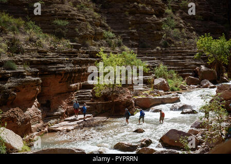 Escursionismo Havasu Creek. Rafting sul fiume Colorado e il Grand Canyon, Arizona, Stati Uniti d'America. Foto Stock