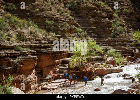 Escursionismo Havasu Creek. Rafting sul fiume Colorado e il Grand Canyon, Arizona, Stati Uniti d'America. Foto Stock