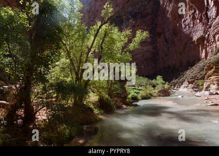 Escursionismo Havasu Creek. Rafting sul fiume Colorado e il Grand Canyon, Arizona, Stati Uniti d'America. Foto Stock