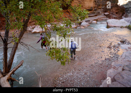 Escursionismo Havasu Creek. Rafting sul fiume Colorado e il Grand Canyon, Arizona, Stati Uniti d'America. Foto Stock