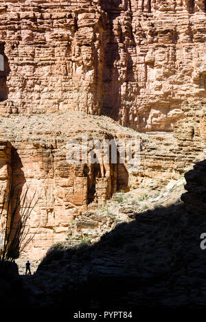 Escursionismo Havasu Creek. Rafting sul fiume Colorado e il Grand Canyon, Arizona, Stati Uniti d'America. Foto Stock