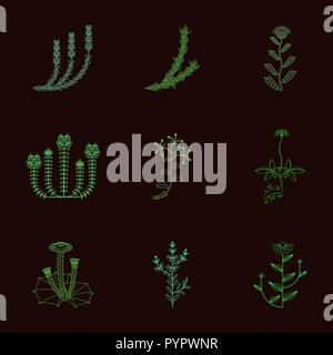Le erbe medicinali, le icone di contorno isolato su sfondo scuro Illustrazione Vettoriale