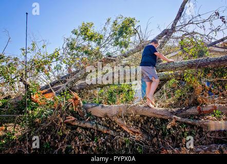 Austin Davis, 14, si arrampica su un albero caduto per ottenere elementi dalla sua casa distrutta dopo l uragano Michael, Ottobre 21, 2018 in Grand Ridge, Florida. Foto Stock