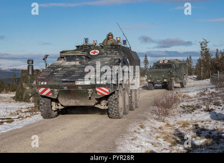 Una prontezza della NATO Joint Task Force treno insieme alla Rena area formazione in Norvegia su Ott. 27, 2018 durante l'esercizio Trident frangente 18. Trident frangente 18 è nato il più grande esercizio di decenni, che riunisce più di 50.000 personale da 31 la NATO e i paesi partner. Cortesia (foto) Foto Stock