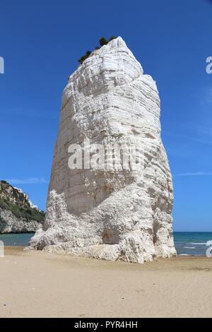 Parco Nazionale del Gargano in Italia - Spiaggia di Pizzomunno a Vieste. Foto Stock