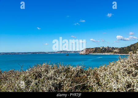 Lunga vista di Meadfoot Beach in South Devon, Regno Unito. Foto Stock