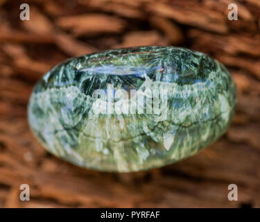 Verde Seraphinite lucidato esemplare dalla Siberia Orientale in Russia sulle materie fibrose di corteccia di albero nella foresta. Qualità gemma clinochlore del clorito in gruppo. Foto Stock