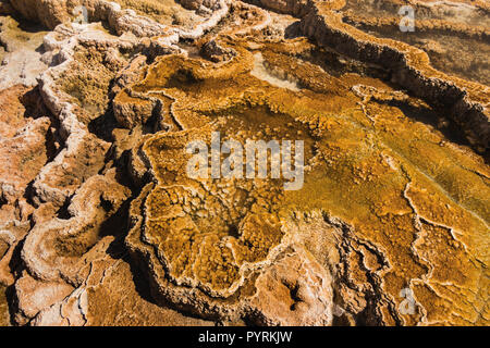 Tessitura geologica calcare a Mammoth Hot Spring - Parco Nazionale di Yellowstone Foto Stock