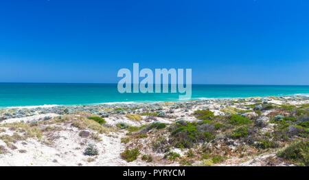 Sandhills a Scarborough Beach Foto Stock