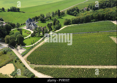 Bligny (nord-est della Francia). Paesaggio rurale e i vigneti che circondano il castello del villaggio.Caption locale *** Foto Stock