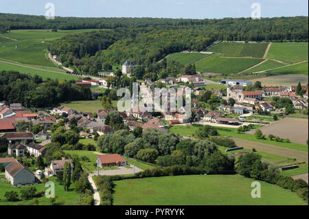 Bligny (nord-est della Francia). Paesaggio rurale e i vigneti che circondano il borgo e il suo castello.Caption locale *** Foto Stock