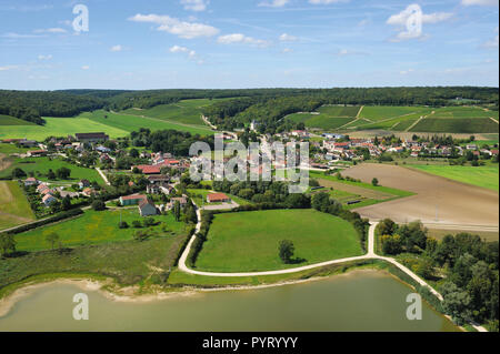 Bligny (nord-est della Francia). Paesaggio rurale e i vigneti che circondano il borgo e il suo castello.Caption locale *** Foto Stock