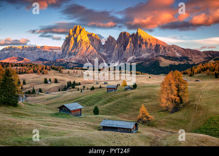 Dolomiti. Immagine di panorama di Alpe di Siusi un altopiano dolomitico e la più grande ad alta altitudine prato alpino in Europa. Foto Stock