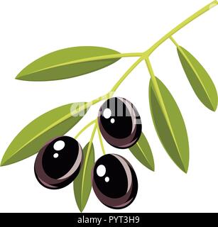 Ramo di olive nere con foglie, illustrazione vettoriale Illustrazione Vettoriale