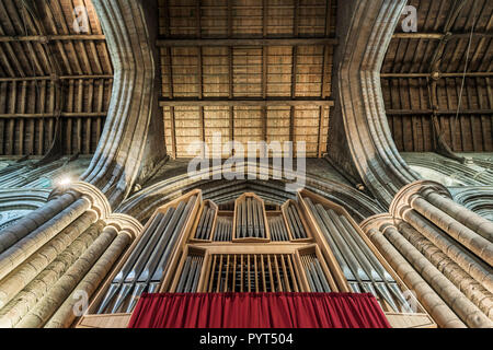 L'organo di Hexham Abbey, Hexham, Northumberland, Inghilterra Foto Stock