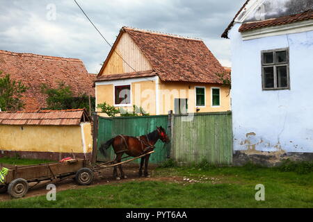Cavallo e il carrello al di fuori del tradizionale stile casa di villaggio sassone di Viscri in Transilvania Foto Stock