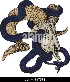 Mitologico serpente Uroboros e cranio di capra. Disegnato a mano stile di incisione illustrazione vettoriale. Adesivo, poster, t-shirt, stampa tattoo design. Rock, heav Illustrazione Vettoriale