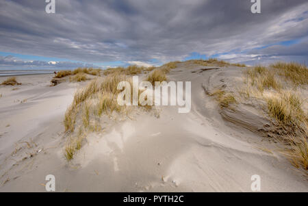 Giovani dune costiere sulla disabitata isola Rottumerplaat nel Waddensea, Paesi Bassi Foto Stock