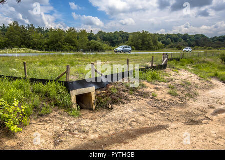 La fauna selvatica sottopassaggio incrocio canale sotterraneo per gli animali al di sotto di una autostrada in Paesi Bassi Foto Stock