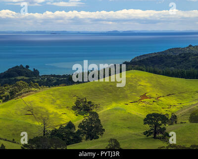 Vista oceano su verdi colline erose con alberi in prossimità di Coromandel Town, Nuova Zelanda Foto Stock