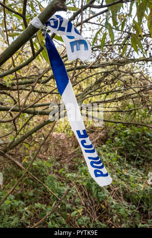 La polizia della scena del crimine legato a nastro ad un albero, Nottingham, Inghilterra, Regno Unito Foto Stock