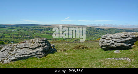 Sulla collina di Meldon vicino a Chagford, Dartmoor Devon Foto Stock