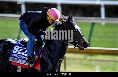 Louisville, KY, Stati Uniti d'America. 29 ott 2034. Ottobre 29, 2018 : sciopero argento, addestrati da Mark E. Casse, esercizi in preparazione per il Breeders' Cup capretti Turf Sprint di Churchill Downs su ottobre 29, 2018 a Louisville, Kentucky. Scott Serio/Eclipse Sportswire/CSM/Alamy Live News Foto Stock