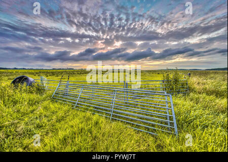 Cancelli di metallo in terreni agricoli campo sotto il sole di setting con bellissimo cielo velato Foto Stock