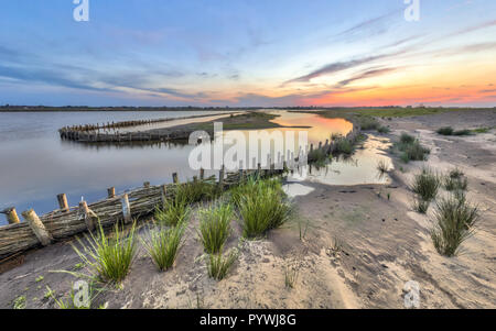 Nuova onda ecologica di banche di protezione sulla riva del lago di nuovo a Meerstad area di sviluppo, Groningen, Paesi Bassi Foto Stock