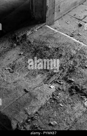 Indossati in legno della soglia della porta in una vecchia fattoria svedese nel nord della Svezia Foto Stock