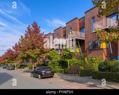 Moderno e colorato della famiglia suburbana di case a schiera in una zona suburbana con alberi e giardini Foto Stock