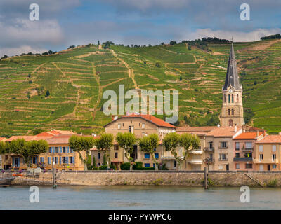 Tournon sur Rhone river town e vigneti sulle colline del Cote du Rhone Area in Francia Foto Stock