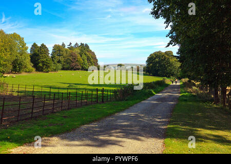 Vista da un sentiero attraverso la station wagon Egton Egton a ponte sulla North Yorkshire Moors REGNO UNITO Foto Stock